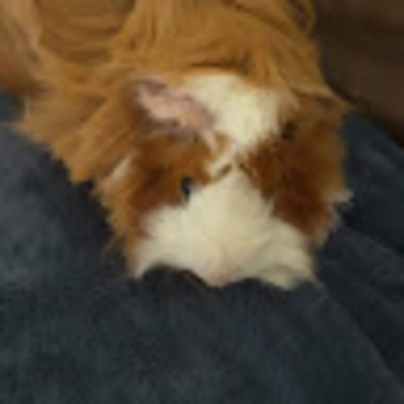 Meet your Posher, Kristyn - Picture 1 of 1